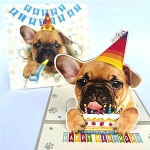 Bulldog Puppy 3D Birthday Funny Pop Up Cards 3D Birthday Pop Up Cards